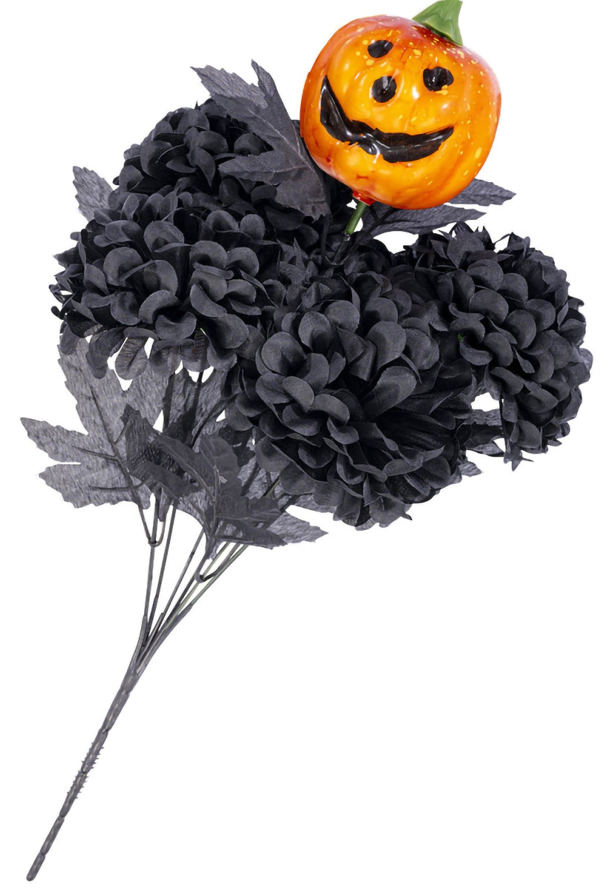 Kukkakimppu musta; krysanteemi ja kurpitsa