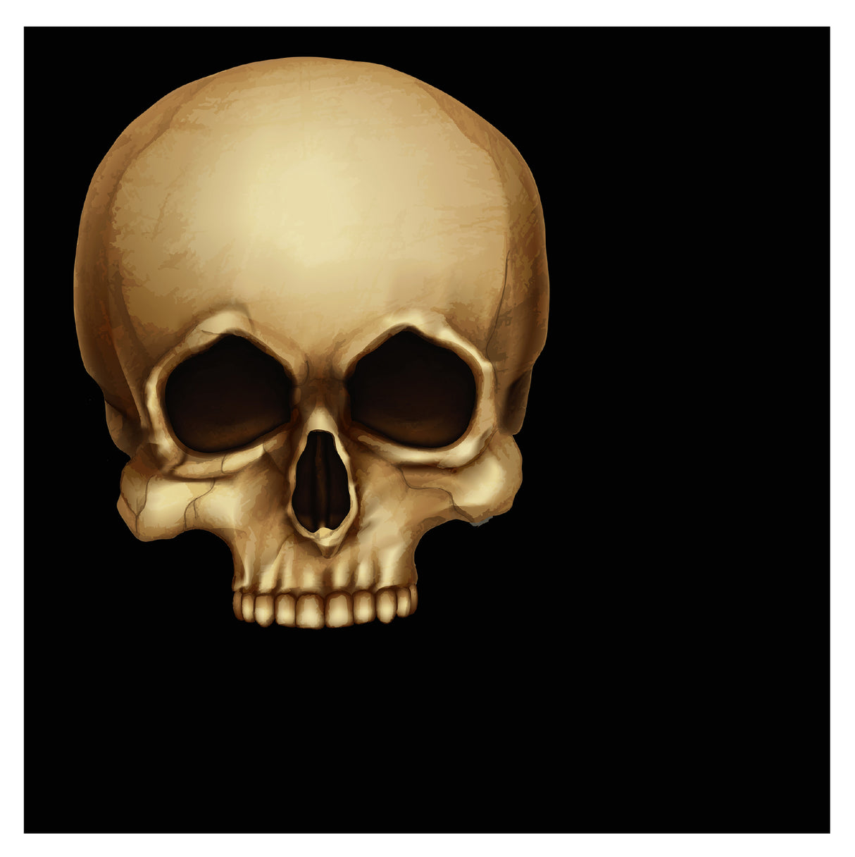 Pääkallo suuri lautasliina 20 kpl/pkt