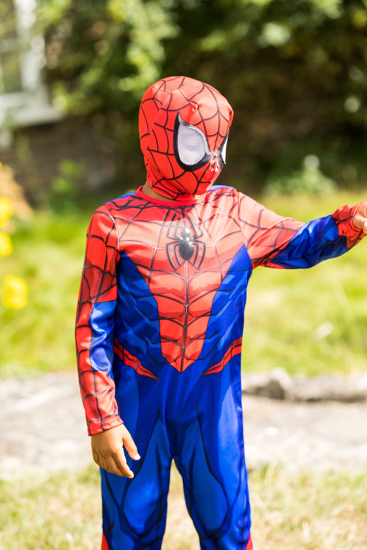 Spider-Man asu