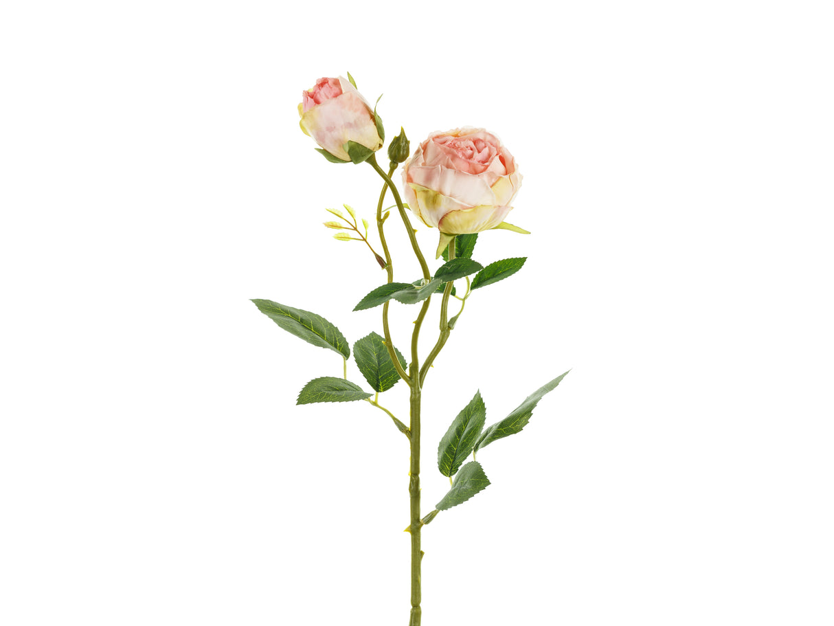 Ruusu kahdella nupulla 55 cm, vaaleanpunainen