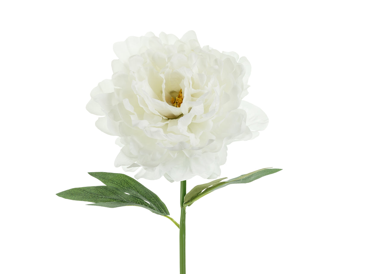 Pioni 35 cm, valkoinen