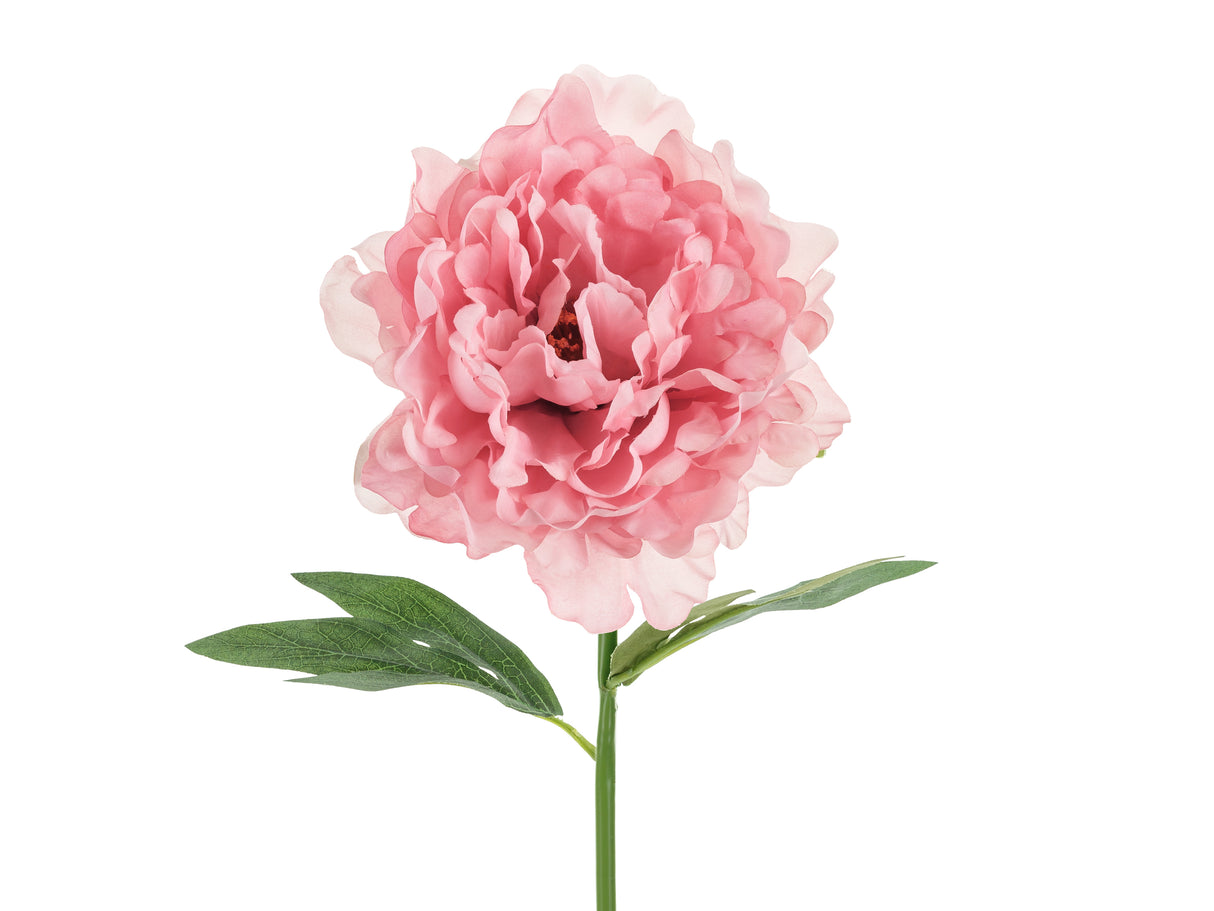 Pioni 35 cm, pinkki