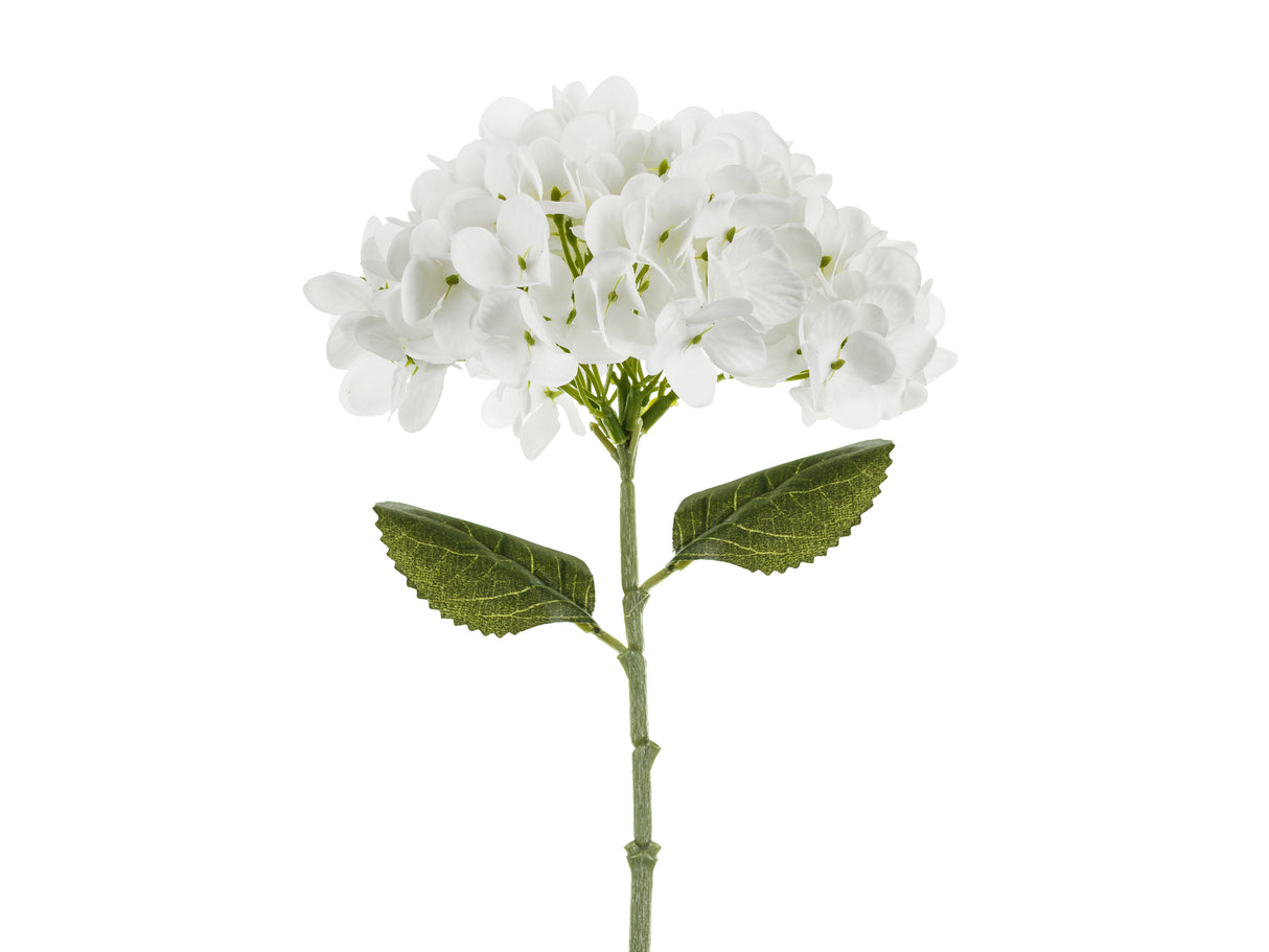 Hortensia 35 cm, valkoinen