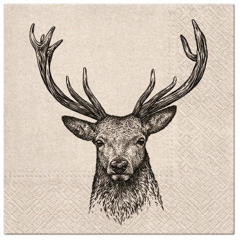 Lounaslautasliina 33 x 33 cm eko kauris 20 kpl/pkt