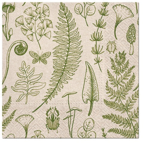 Lounaslautasliina 33 x 33 cm eko luonto 20 kpl/pkt