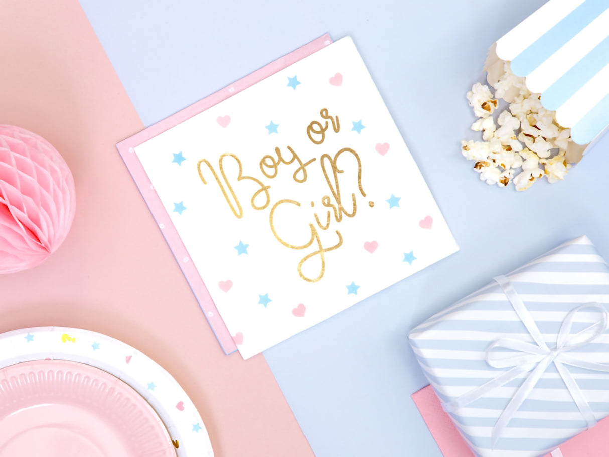 Boy or Girl suuri lautasliina 20 kpl/pkt