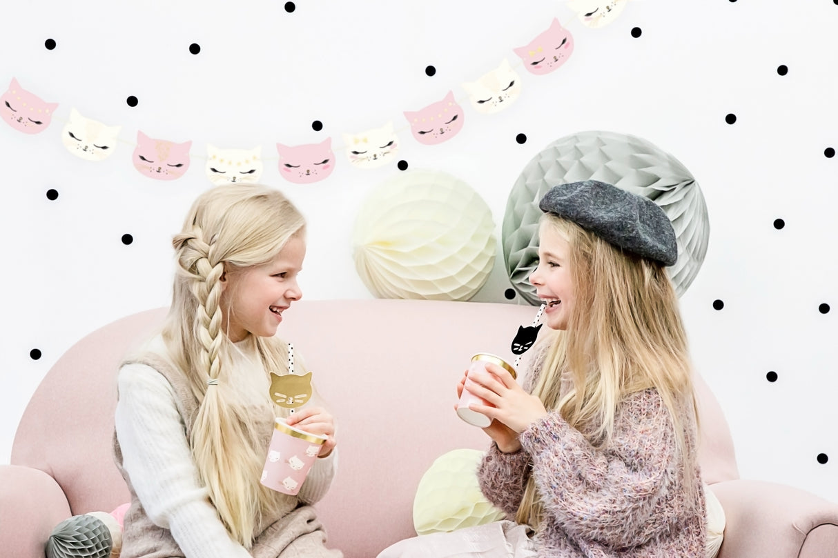 Suloinen kissa pahvimuki 6 kpl/pkt