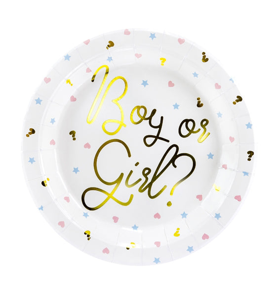 Boy or Girl suuri pahvilautanen 6 kpl/pkt