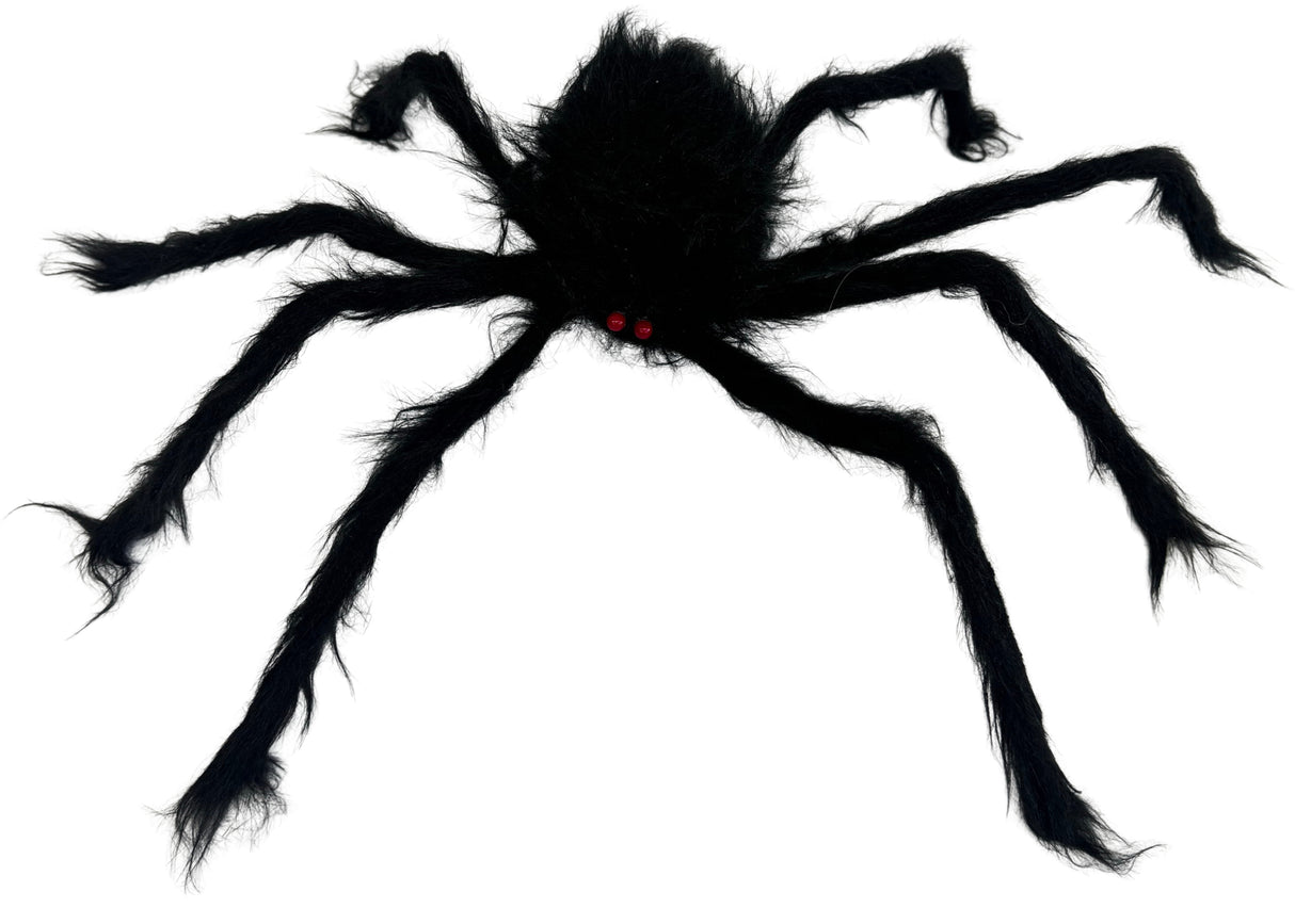 Karvainen jättihämähäkki 66 cm