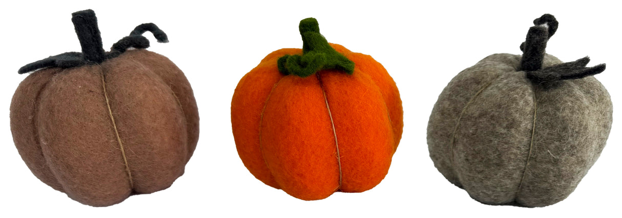 Kurpitsa lajitelma, 3 väriä