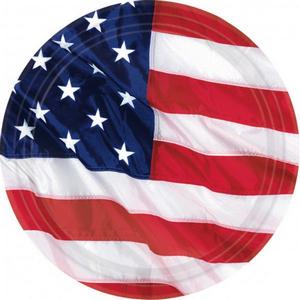 Flying colours USA pieni pahvilautanen 8 kpl/pkt