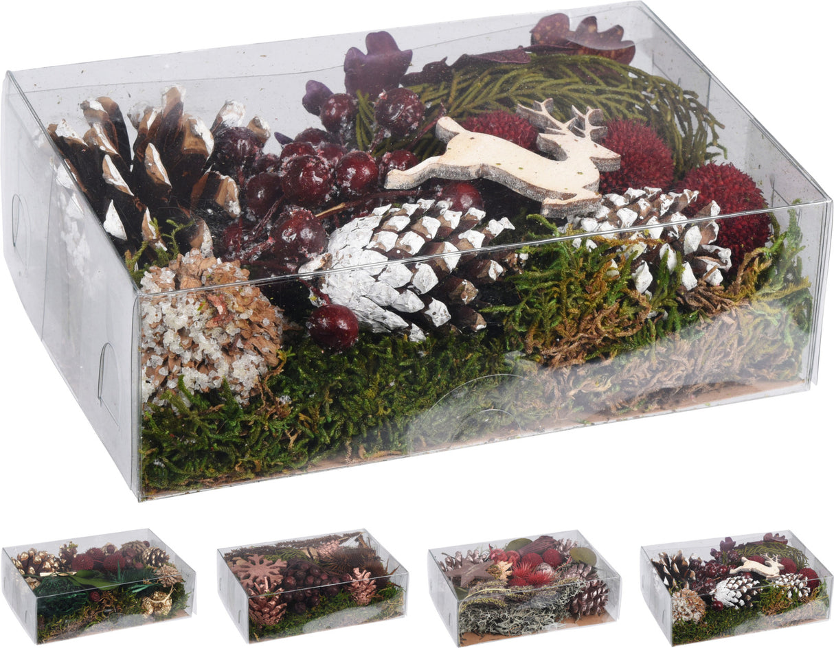 Koristesammalet, jäkälät ja kävyt 1 pkt (4 erilaista vaihtoehtoa)