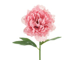 Pioni 35 cm, pinkki