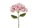 Hortensia 35 cm, vaaleanpunainen