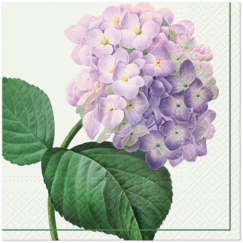 Lautasliina 33 x 33 cm hortensia 20 kpl/pkt
