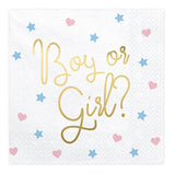 Boy or Girl suuri lautasliina 20 kpl/pkt