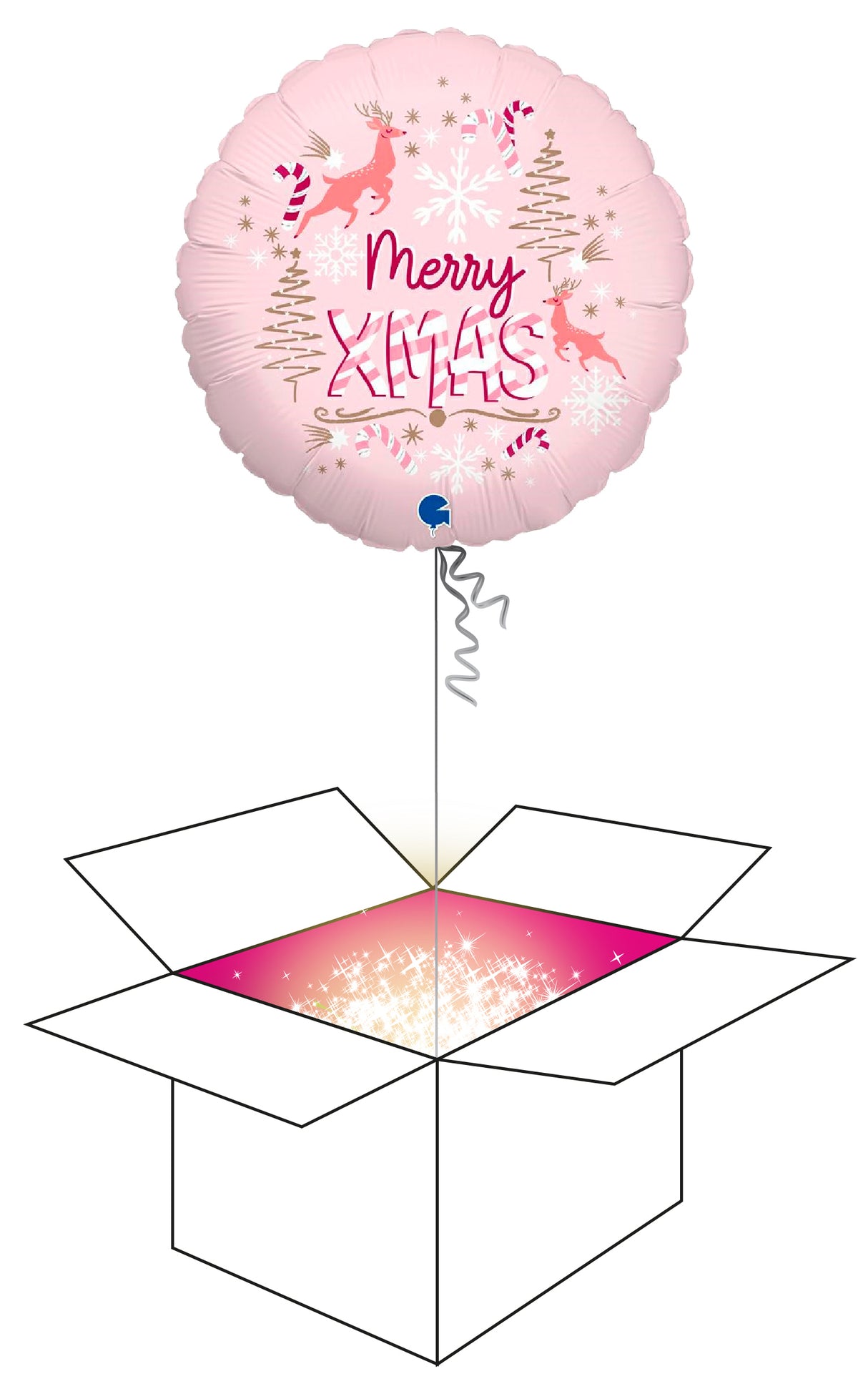 Palloboxi, Merry XMAS foliopallo