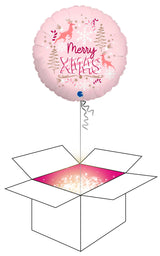 Palloboxi, Merry XMAS foliopallo