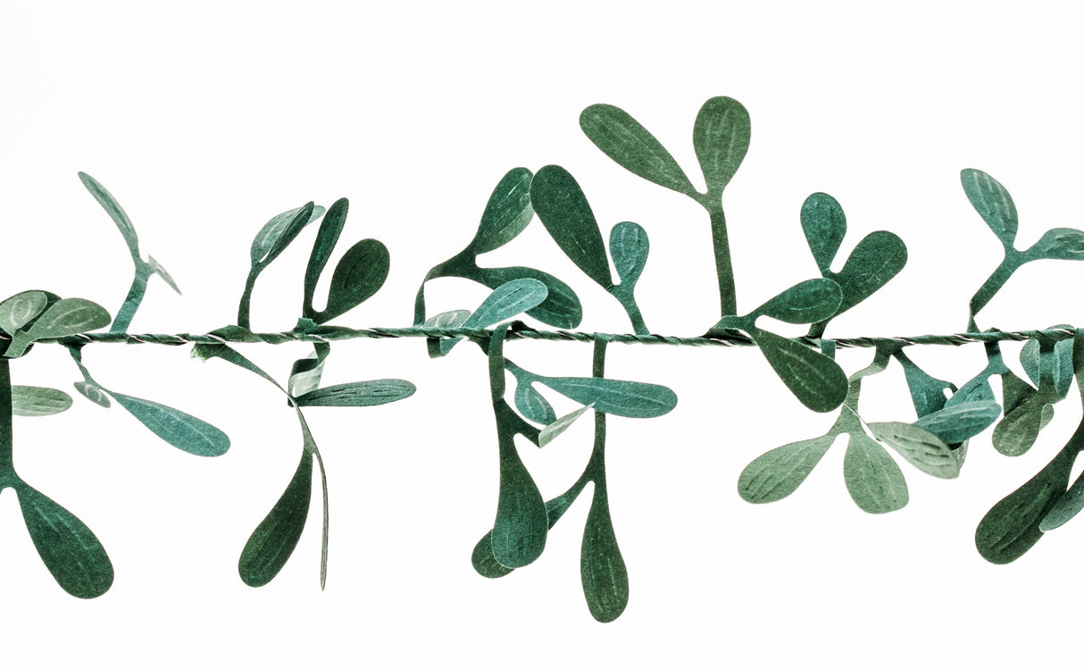 Misteliköynnös eko paperia 80 mm x 2 m