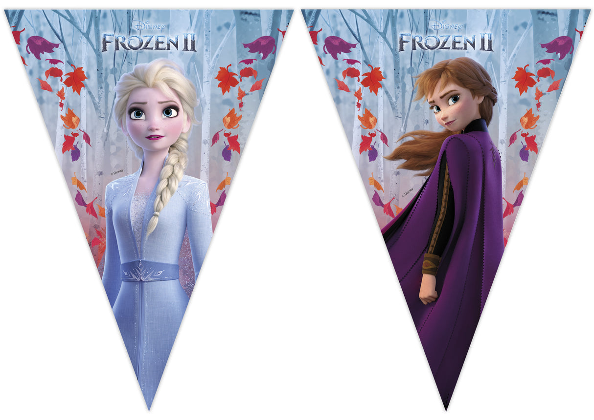 Frozen 2 viirinauha