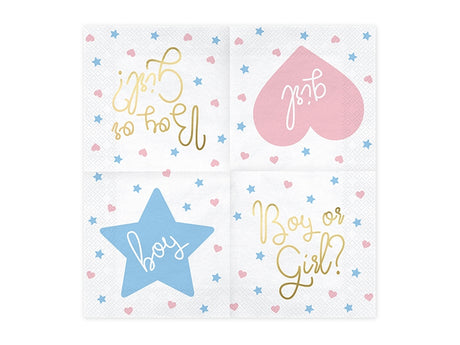 Boy or Girl suuri lautasliina 20 kpl/pkt