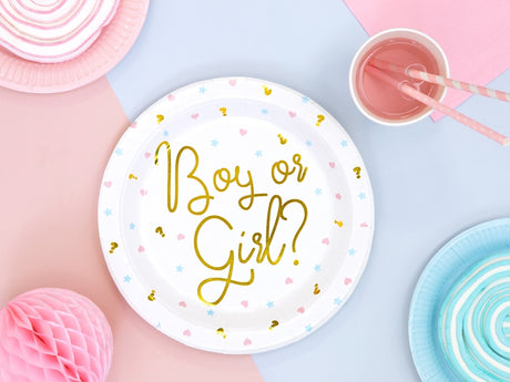 Boy or Girl suuri pahvilautanen 6 kpl/pkt